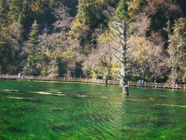 如何在PbootCMS系统中添加热门标签？